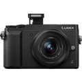 Panasonic Lumix DMC-GX80, černá + 12-32 mm_1418571107