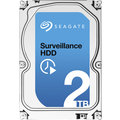 Seagate Surveillance - 2TB_1785309642