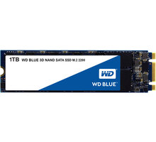 WD Blue 3D NAND, M.2 - 1TB_1590519035