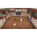 STORY OF SEASONS: A Wonderful Life - Limited Edition (SWITCH)_1064433073