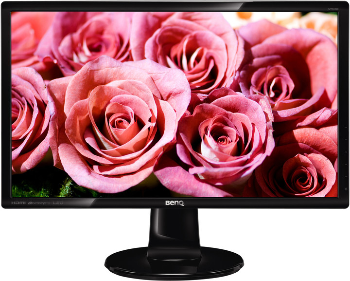 BenQ GW2460HM - LED monitor 24