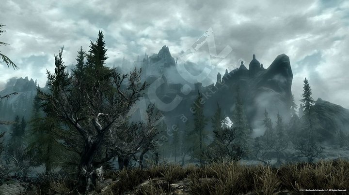 The Elder Scrolls V: Skyrim Collector´s Edition (PS3)_2066448355