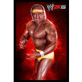 WWE 2K15 (Xbox 360)_912185574