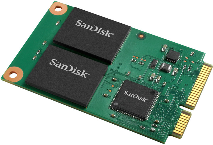 Sandisk on sale ssd u100