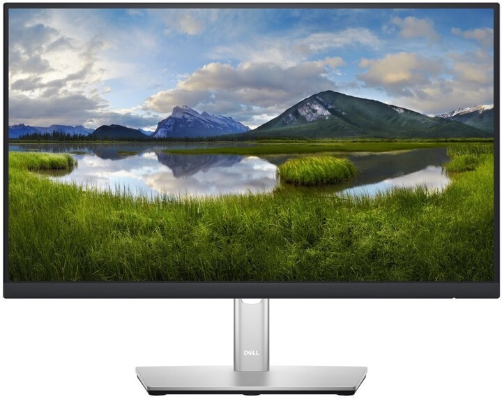 Dell Professional P2222H - LED monitor 22&quot;_1075486529