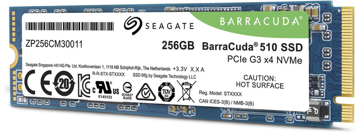 Seagate BarraCuda 510, M.2 - 256GB_1784348034