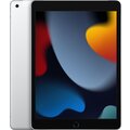 Apple iPad 2021, 256GB, Wi-Fi + Cellular, Silver_342409115