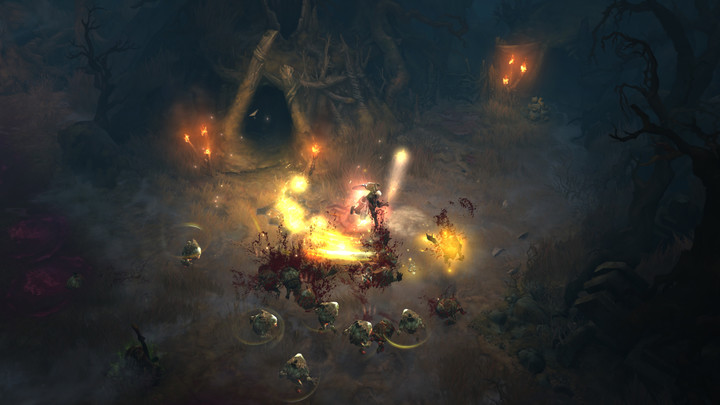 Diablo 3: Reaper of Souls Collector&#39;s Editions (PC)_1750662063
