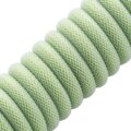 CableMod Classic Coiled Cable, USB-C/USB-A, 1,5m, Lime Sorbet_57075008