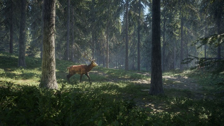 theHunter: Call of the Wild (Xbox ONE)_516904882