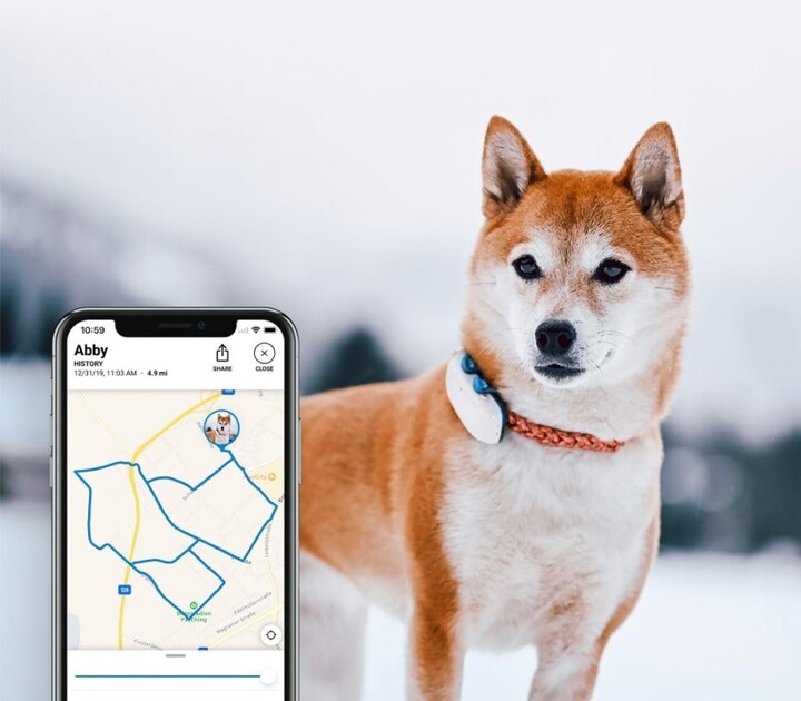 Tractive GPS DOG 4 LTE Tracker pro psy_1713637420