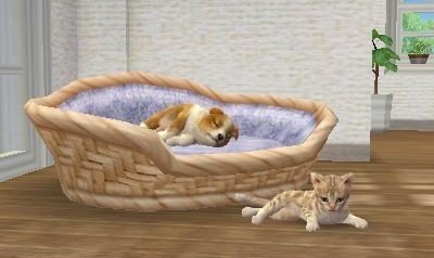 Nintendo 3DS XL, růžová + Nintendogs+Cats: Golden Retriever_1769874542