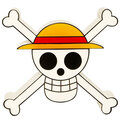 Lampička One Piece - Skull, LED_1375106806
