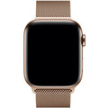 Apple řemínek pro Watch Series 4, 44mm, zlatá_624970735
