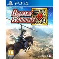Dynasty Warriors 9 (PS4)_717489085