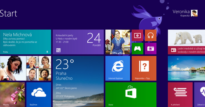 Microsoft Windows 8.1 Pro CZ 64bit OEM - Legalizační sada_1257684357