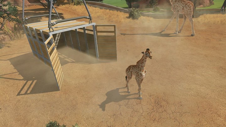 Zoo Tycoon GOTY (Xbox ONE)_407748878