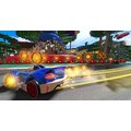 Team Sonic Racing - Special Edition (PS4)_103010129
