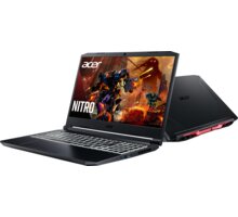 Acer Nitro 5 2020 (AN517-52-75Q7), černá_596250895