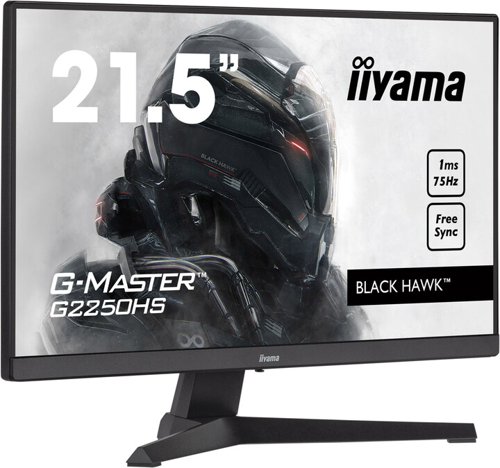 iiyama G-Master G2250HS-B1 - LED monitor 21,5&quot;_1058180881