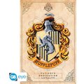 Plakát Harry Potter - Hufflepuff (91.5x61)_1480937287