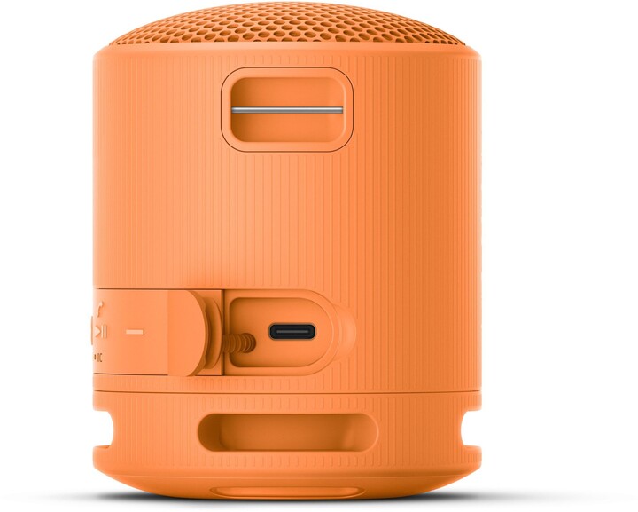 Sony SRS-XB100, oranžová_1954604100