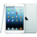 APPLE iPad mini, 16GB, bílá_1795657504