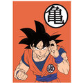 Deka Dragon Ball - Goku_2074845466