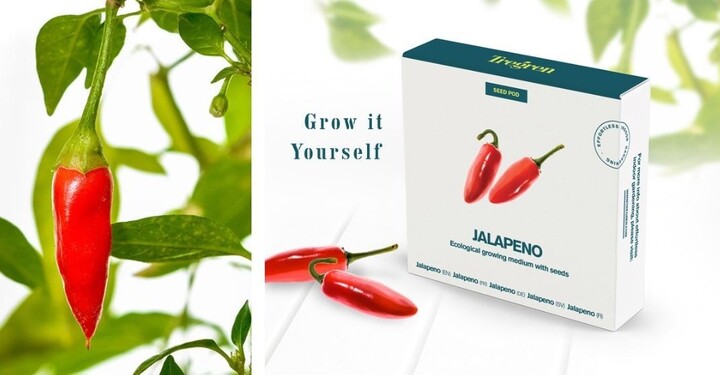 TREGREN Chilli papričky Jalapeno (kapsle se semeny, 4 ks)_1395259189