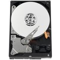 WD AV-GP DS - 500GB_258574589