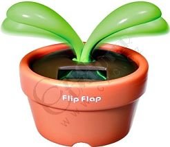 Astrafit - Flip Flap - umělá květina_1647864125