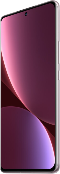 Xiaomi 12 Pro 5G, 12GB/256GB, Purple_434830848