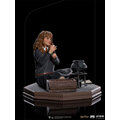 Figurka Iron Studios Harry Potter - Hermione Granger Polyjuice Art Scale 1/10_1503367373