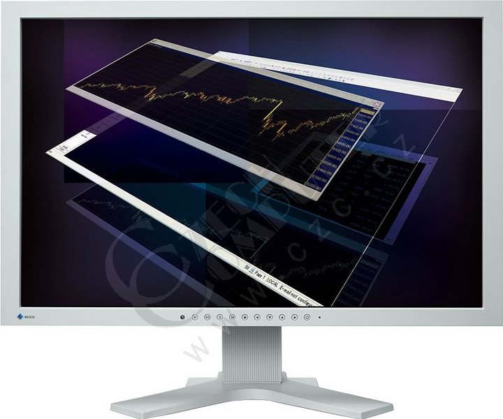 Eizo S2401WH-GY - LCD monitor 24&quot;_1798472718