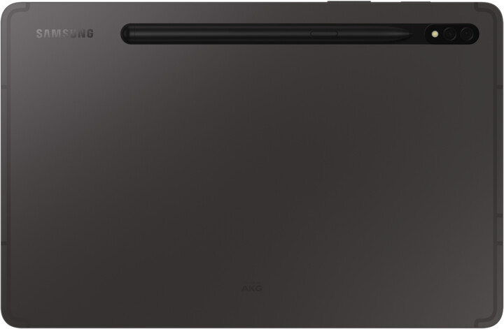 Samsung Galaxy Tab S8, 8GB/128GB, Graphite_1543167357