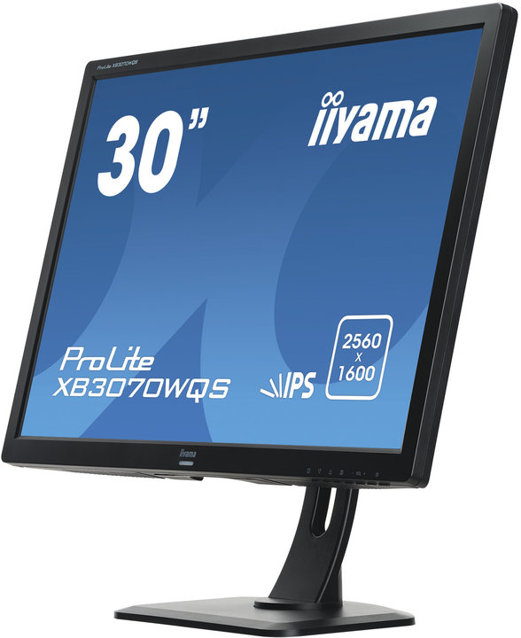 iiyama XB3070WQS-B1 - LED monitor 30&quot;_588332187