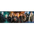 Puzzle Harry Potter - Panorama Characters_1461850483