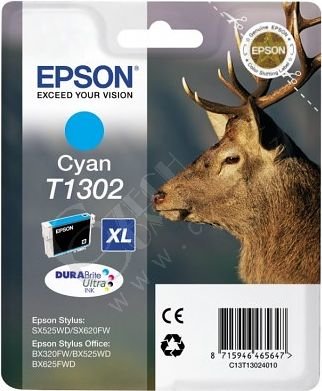 Epson C13T13024010, azurová_958894830