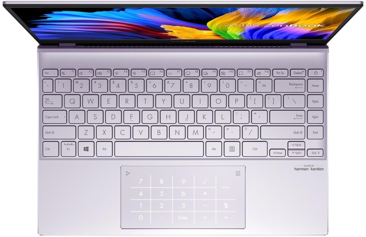 ASUS ZenBook 13 UX325 OLED (11th Gen Intel), lilac mist_179833037