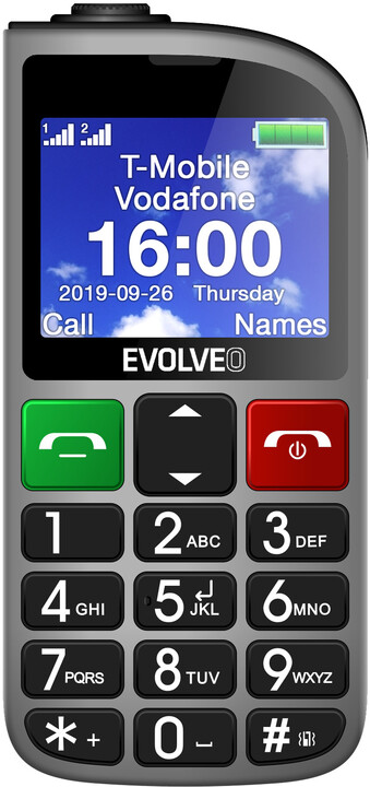 Evolveo EasyPhone FM SGM EP-800-FMS, Silver_339698299