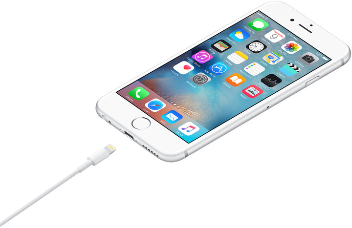 Apple kabel USB-A - Lightning, 1m, bílá_1634526800