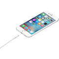 Apple kabel USB-A - Lightning, 1m, bílá_1634526800
