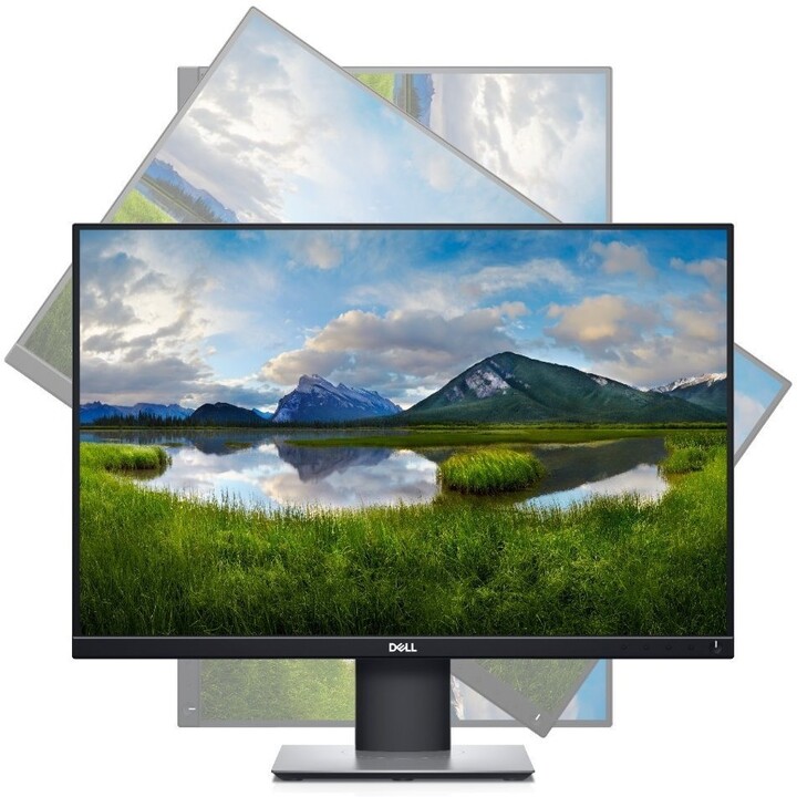 Dell P2421 - LED monitor 24&quot;_267534037