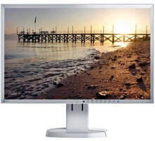 EIZO FlexScan EV2216WFS-GY - LED monitor 22&quot;_705201887