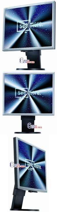 NEC 1970GX - LCD monitor 19&quot;_1707490055