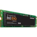 Samsung SSD 860 EVO, M.2 - 250GB_949764820