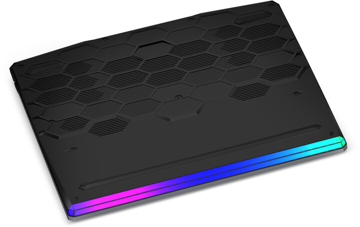 MSI GE66 Raider 10SGS-411CZ, černá-šedá_200887197