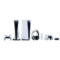 PlayStation 5 + DualSense Camo_2006930084