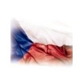 Lidé mají velký zájem o evropské domény s diakritikou