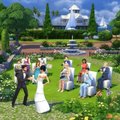 Simulátor života The Sims 4 je zadarmo. Ale jen pro ty rychlé